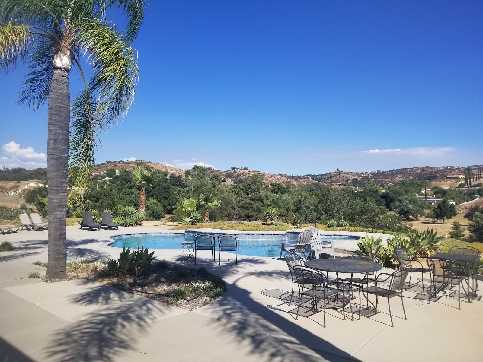 Weekly Pool Cleaning photo 5